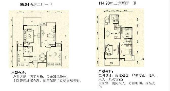 房地产项目前期策划及营销策略（294页，4个设计方案）-户型分析