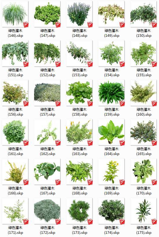 常用植物模型汇总！_15