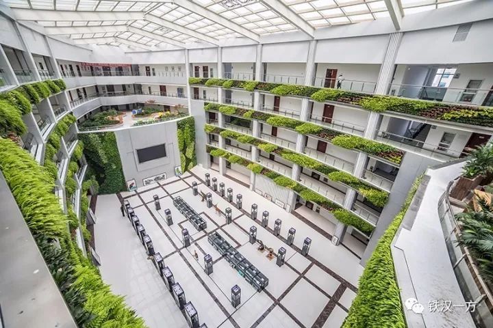 室内公共绿化资料下载-山东滨州北海社会政务中心绿化提升设计