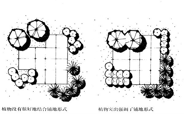 （干货干货）植物设计基础常识_74