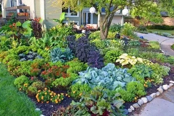 虚构的2010年梦之资料下载-城市也不能束缚田园梦，想有一个小院，只种菜赏花！
