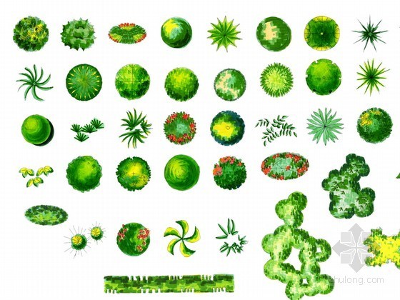 PS手绘景观素材资料下载-PS植物平面素材