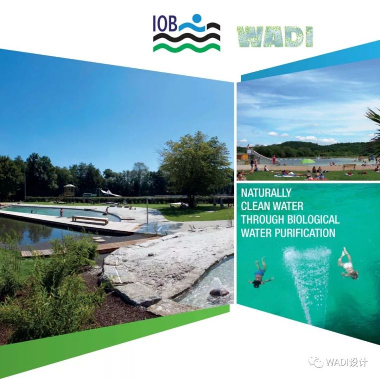 瑞士世博会2000资料下载-“重新定义亲水方式”|WADI成为国际自然游泳水体组织首家中国区