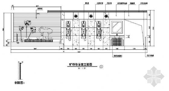 体育浴室CAD图资料下载-某浴室装修立面图