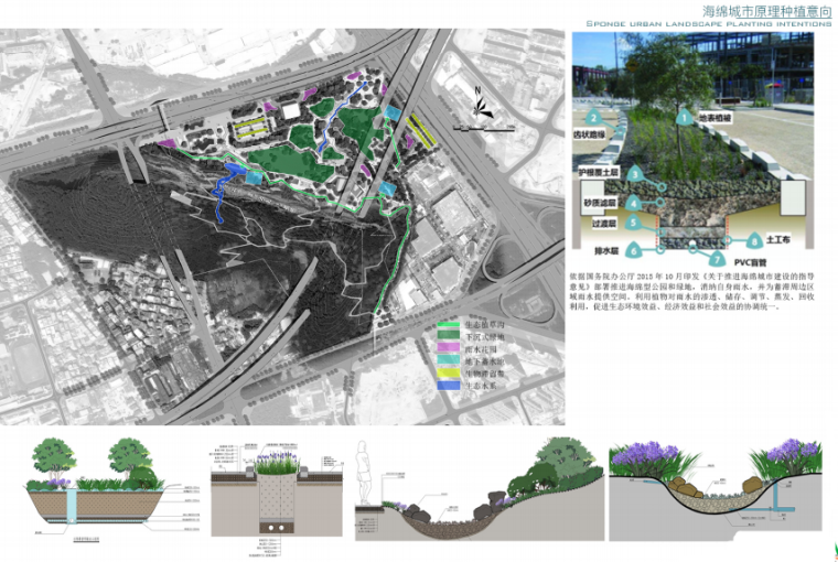 [广东]深圳下角山公园建设工程设计（市政公园，现代风格）-[广东]深圳下角山公园建设工程设计（市政公园）C-1海绵城市种植意向