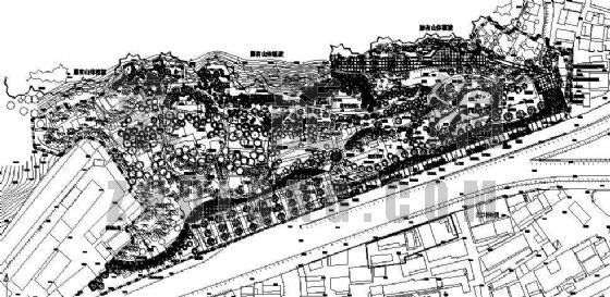 公园路灯设计图纸资料下载-某公园绿化设计图纸