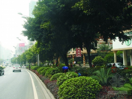 道路设计中的交通预测资料下载-[广东]城市道路设计方案及环评报告书180页