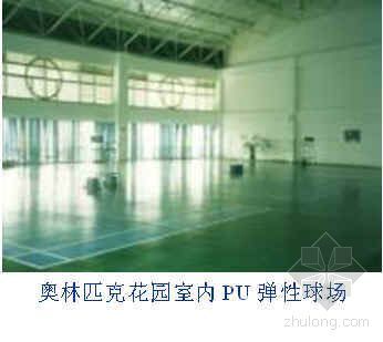PU硅胶篮球场施工资料下载-EPDM 弹性透气型球场（篮球场）