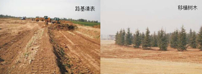 地表清理工程资料下载-路基施工场地清理要求