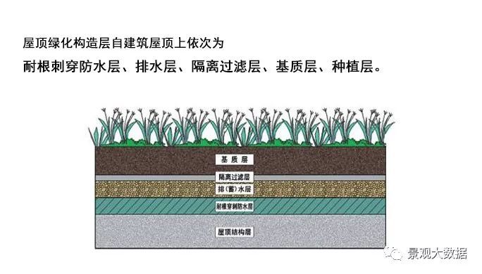 什么，做“屋顶花园"没灵感？国际案例学起来_7