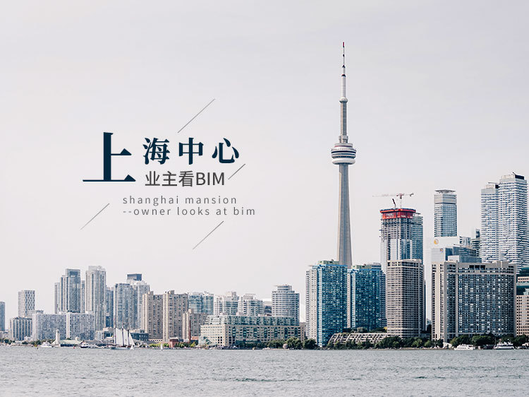 bim规模资料下载-上海中心——业主看BIM