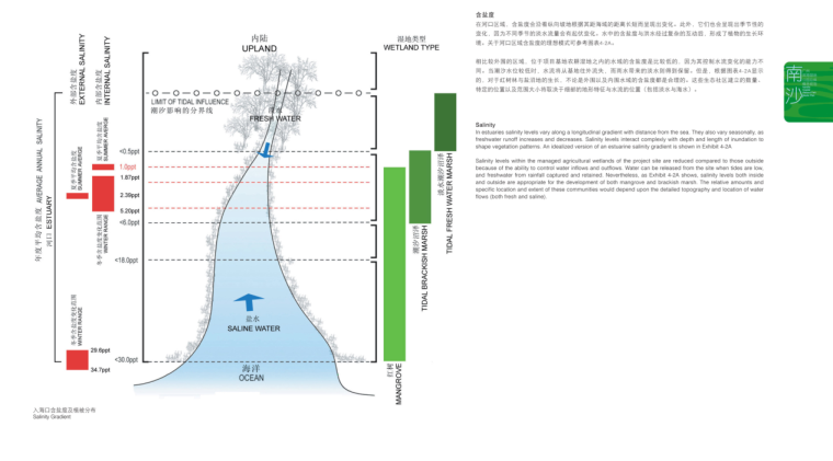 [广东]某滨海湿地公园总体概念方案设计文本PDF（96页）-基地分析