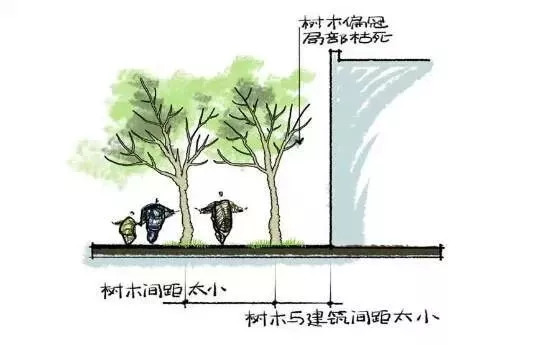 图解园林景观之乔木种植秘诀_3