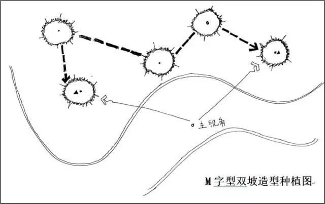 植物造景，如何在景观设计中更有范儿？_7