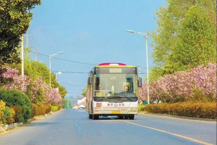 兴隆大桥资料下载-关注丨这条让总书记牵肠挂肚的“路”现在咋样了