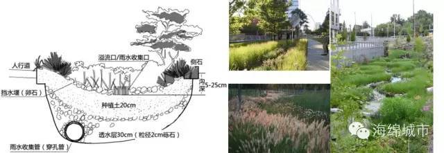 海绵城市建设 · 六大要素_6