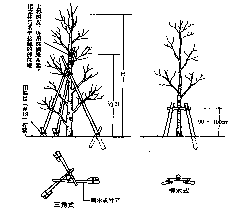 市政道路园林绿化/路灯/交通标志施工方案_3