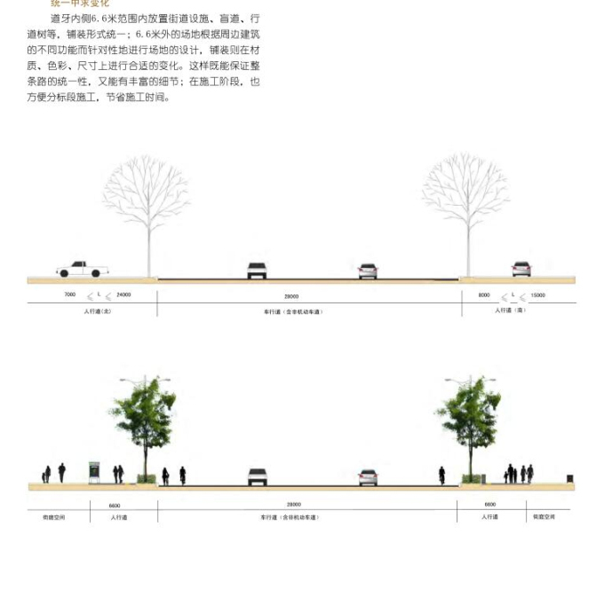 [山西]大型道路街道景观设计方案（知名景观公司）-剖面图