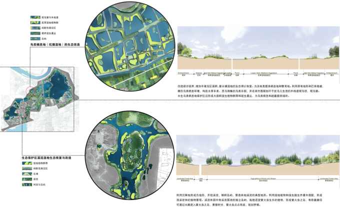 [安徽]滨湖生态修复科普城市湿地公园景观设计方案-湿地修复策略