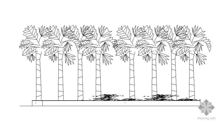 树池篦子CAD图资料下载-多树树池施工大样图