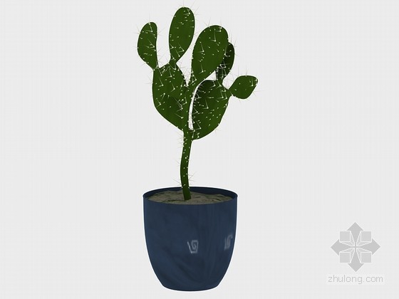 澳大利亚仙人掌花园资料下载-仙人掌盆栽3D模型下载