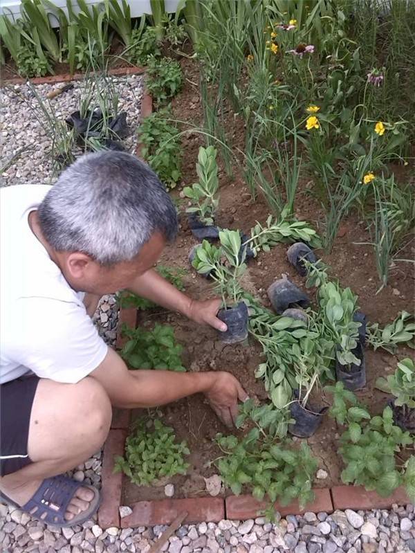归隐田园——52岁环保达人在北京郊区建起了自己的集装箱桃花源_21