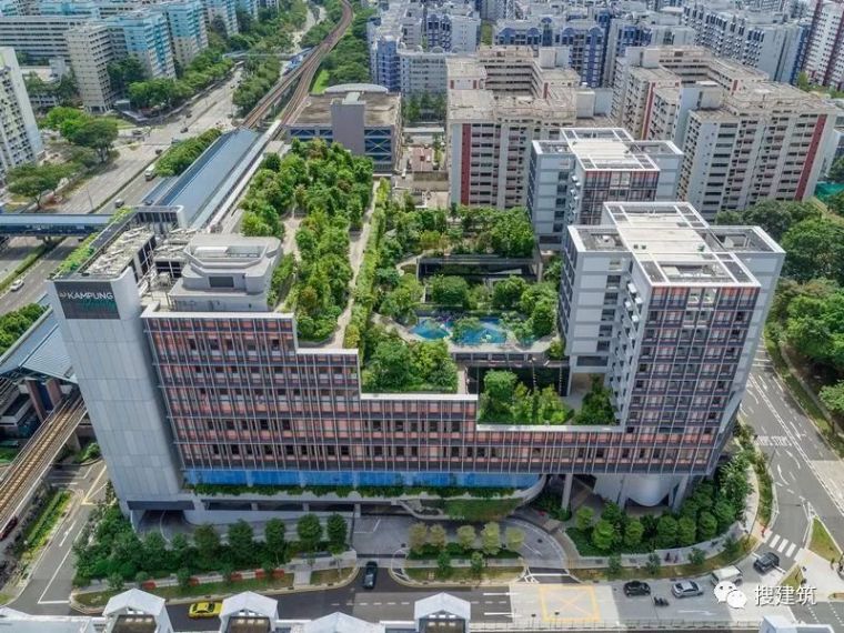 老年人护理站资料下载-屋顶绿化案例——新加坡的公寓