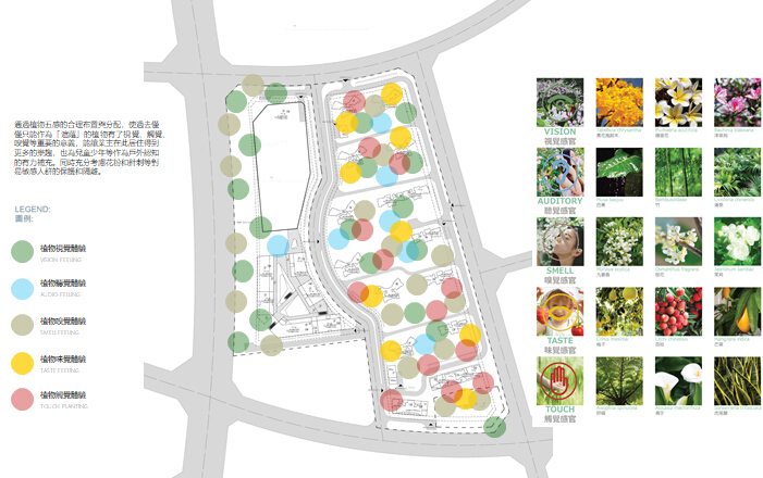[广东]珠海依云华府花园居住展示区景观设计方案（现代）-植物配置设计