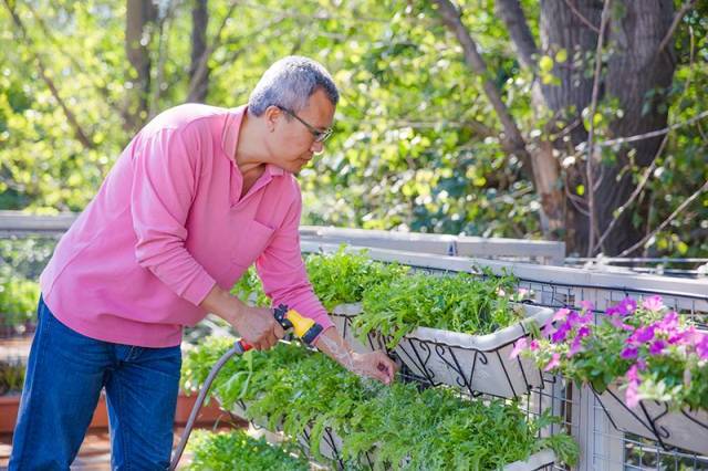 植物种植箱资料下载-他用六个集装箱，拼装出梦里的“桃花源”