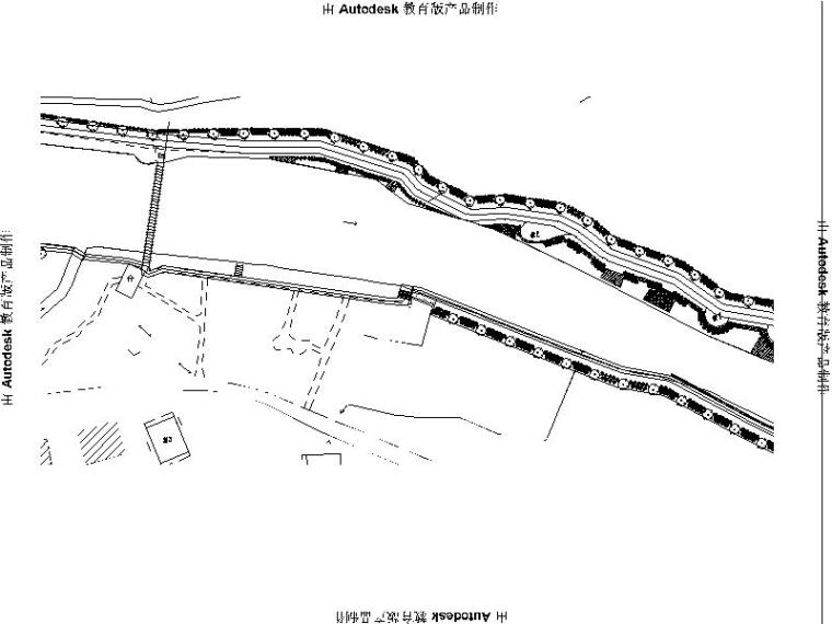 [浙江]县级河道景观改造施工图-乔木种植图