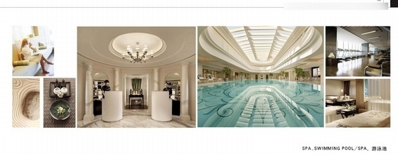 [四川]某豪华五星级酒店室内设计方案图-spa游泳池示意图