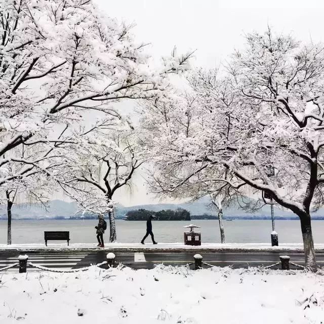 树池水景资料下载-2019年西湖民宿日历，一部西湖诗，当是半部杭州梦