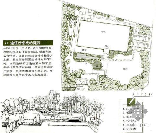 北京别墅庭园景观设计资料下载-柠檬桉庭园景观设计图