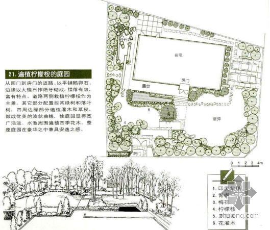 法式庭园景观设计资料下载-柠檬桉庭园景观设计图