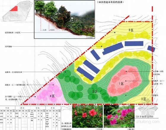 深圳植物图资料下载-深圳某区植被恢复工程设计方案及施工图