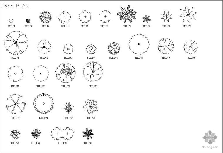 施工方案CAD图例资料下载-CAD常用植物图例