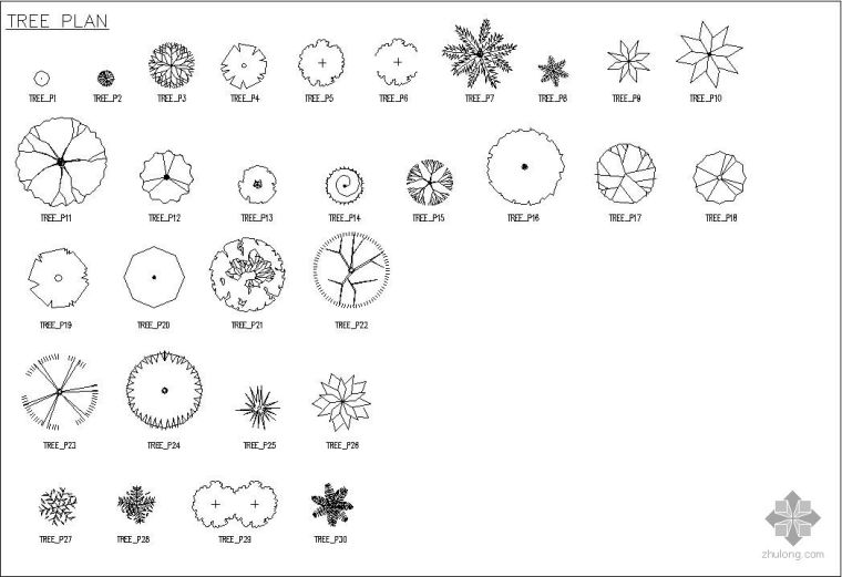 cad常用图例资料下载-CAD常用植物图例