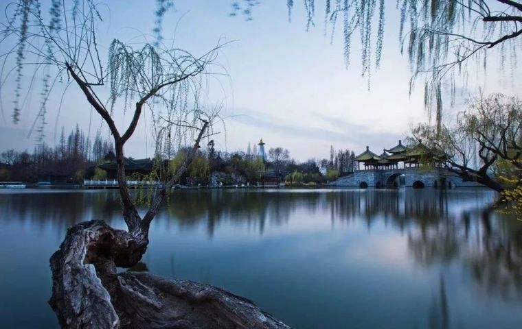 扬州石榴瘦西湖院子视频资料下载-园子里的扬州