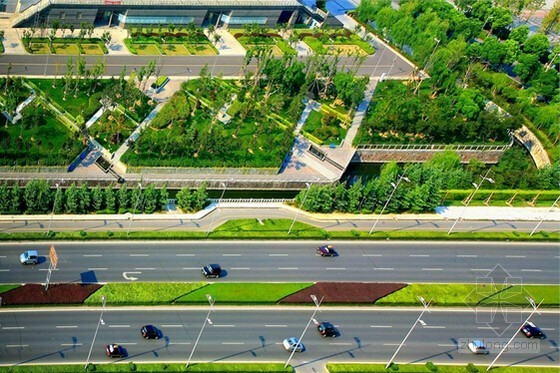 城市慢车道设计方案资料下载-[广东]慢车道绿化分隔带提升工程招标文件