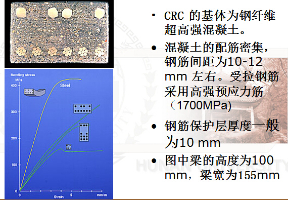 超高性能混凝土研究进展及工程应用199页PPT-密实配筋复合材料示例