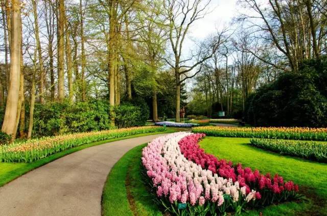 景观设计荷兰库肯霍夫公园ppt资料下载-世界最成功的农业主题公园——荷兰库肯霍夫公园