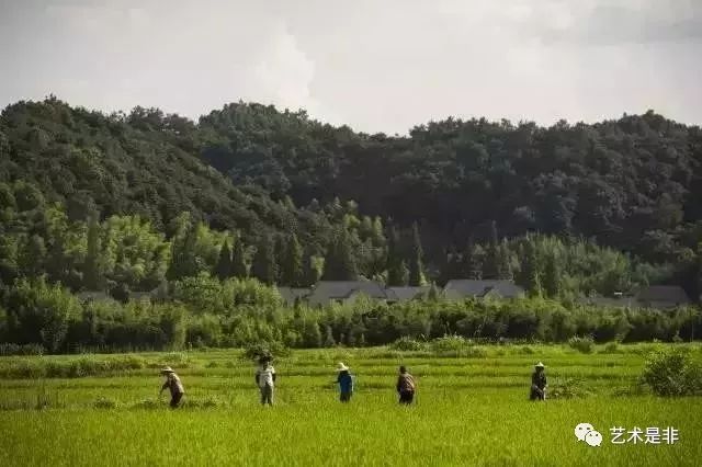 设计如何引导农村现代化_27