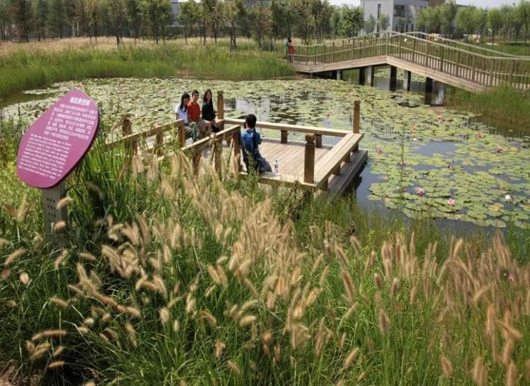 盘点全球十大生态景观设计项目，来数数中国有几个？_22