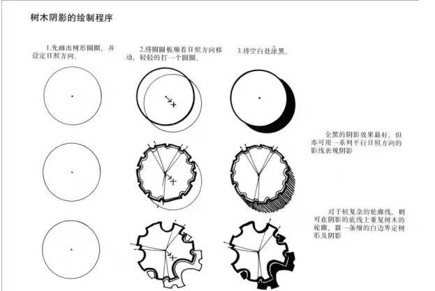 景观快题设计中植物表达技法！_18