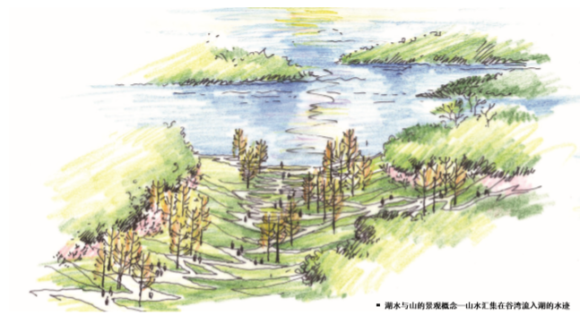 [成都]万华麓湖公园景观设计方案文本（生态，湿地）-万华麓湖西区公园-效果图9