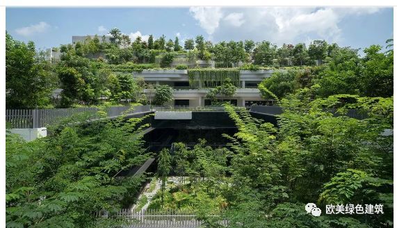 生态建筑雨水收集资料下载-新加坡8个经典绿色建筑