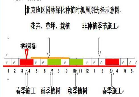 绿化苗木移植资料下载-园林养护管理的精华都在这里（必收藏）