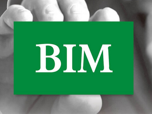 BIM技术应用：国内VS国外.jpg