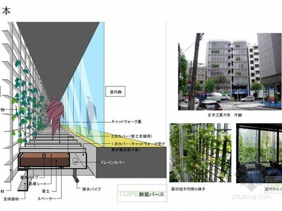 垂直绿化设计图纸资料下载-垂直绿化景观设计研究