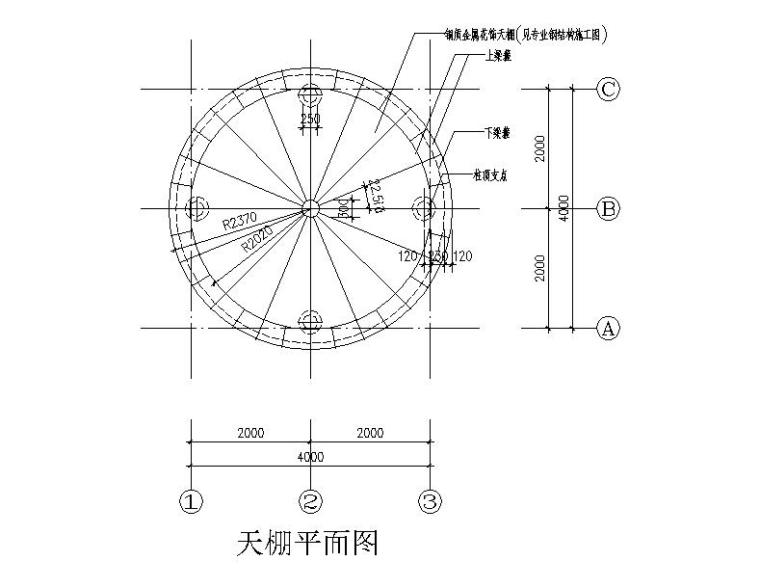 休闲亭钢穹顶钢结构节点详图（CAD）-天棚平面图